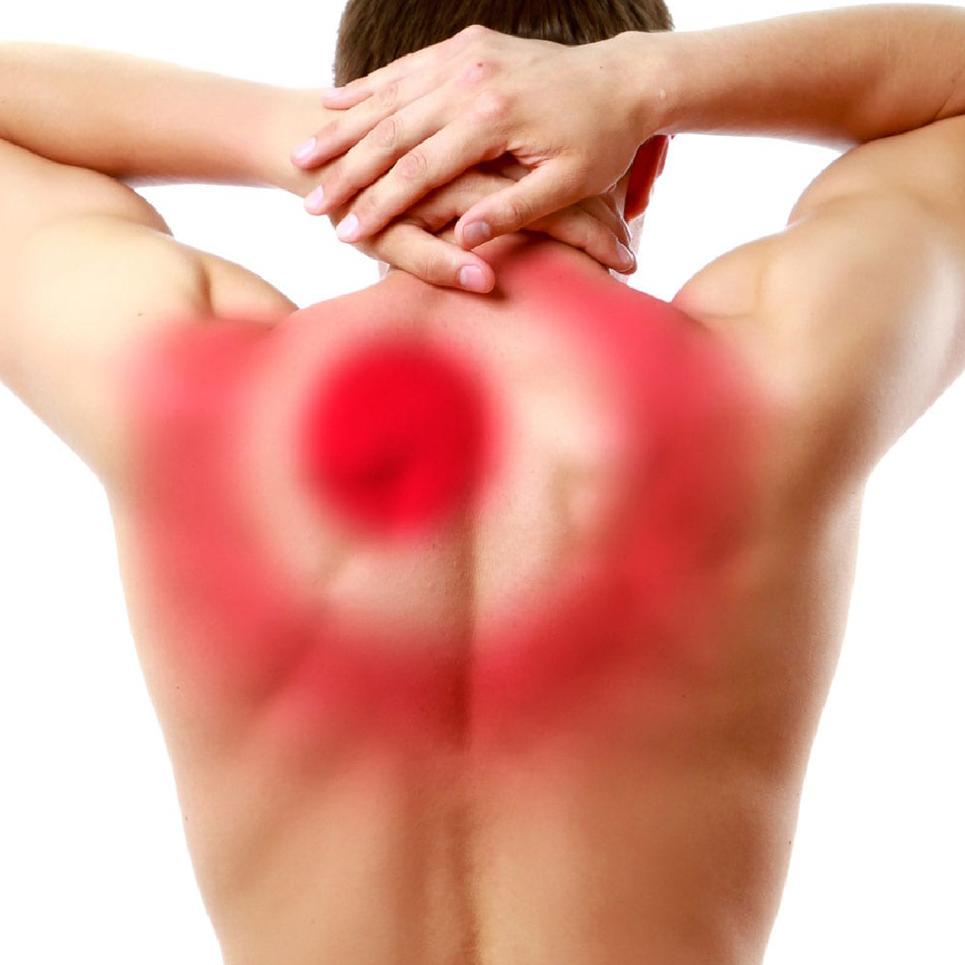 Back Pain [Upper]